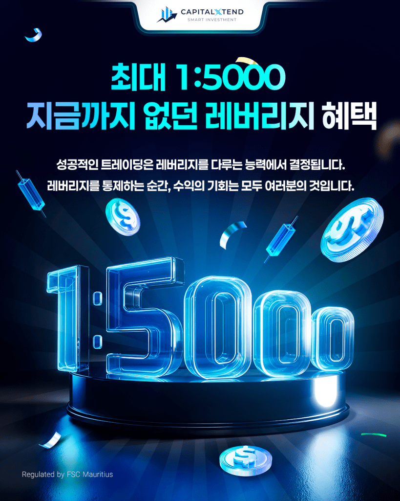 레버리지 1:5000